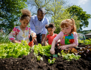 13 Atividades De Sustentabilidade Na Escola